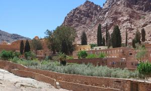 Șapte locuri de vizitat în Sinai