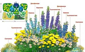 Dizajn cvjetnjaka u zemlji: osnovna pravila i ideje za stvaranje cvjetnog vrta