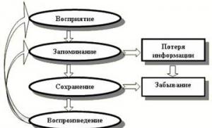 Procesele de memorie și caracteristicile acestora