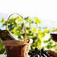 Cara membuat anggur dari buah anggur di rumah