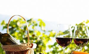 Cara membuat anggur dari buah anggur di rumah