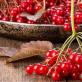 Ljekovita svojstva crvene viburnuma i njegovih sjemenki, kako kuhati Da li je moguće samljeti viburnum sa sjemenkama